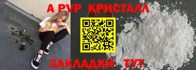 спиды Кузнецк