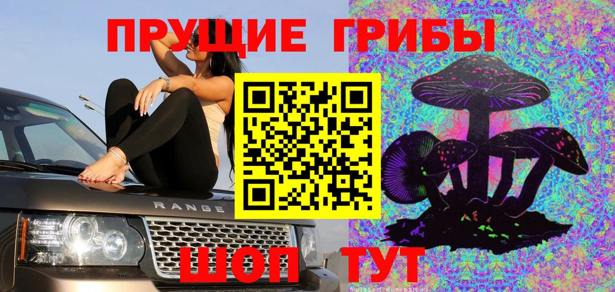Гурьевск  Псилоцибиновые грибы Cubensis  Вход с VPN 